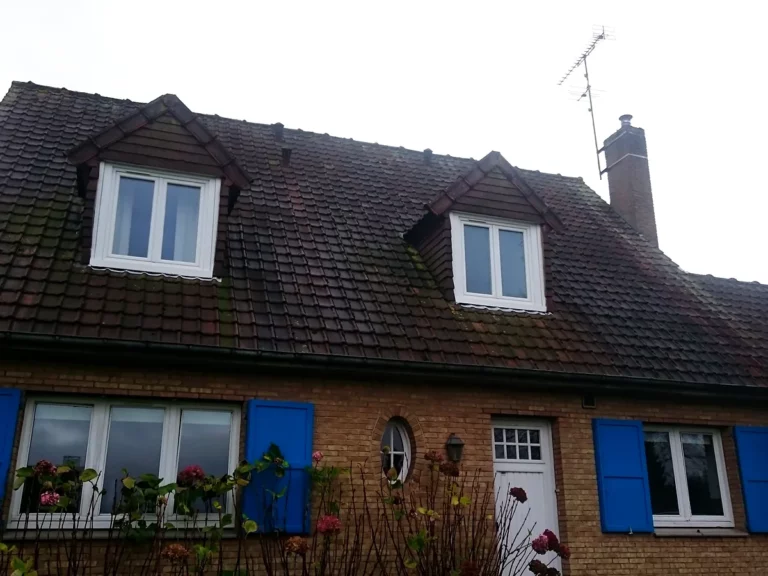 Vue rapprochée des tuiles envahies par la mousse et le lichen avant la dépose de la couverture.